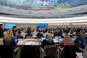 Read more about the article Gemeinsame Erklärung an den UN Menschenrechtsrat bezüglich der anhaltenden Gewalt in Papua und die Notwendigkeit für den Dialog