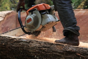 Read more about the article Abholzung in Westpapua – 1.488 Hektar Wald zwischen Januar und Mai 2020 gerodet