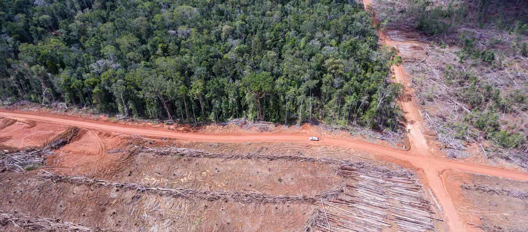 You are currently viewing Rettet den Regenwald e.V. Pressemitteilung: Palmöl- und Holz-Konzern Korindo will Umweltschützer mundtot machen