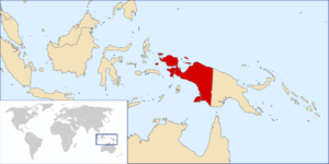Read more about the article Illegaler Goldabbau in der Provinz Papua Barat – Volksrat fordert strengere Überwachung
