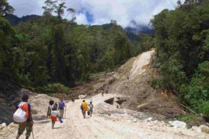 Read more about the article Greenpeace Indonesien: Neue Provinzen in Westpapua befördern Abholzung