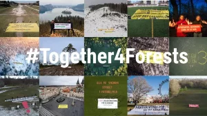 Mehr über den Artikel erfahren #Together4Forests Kampagne