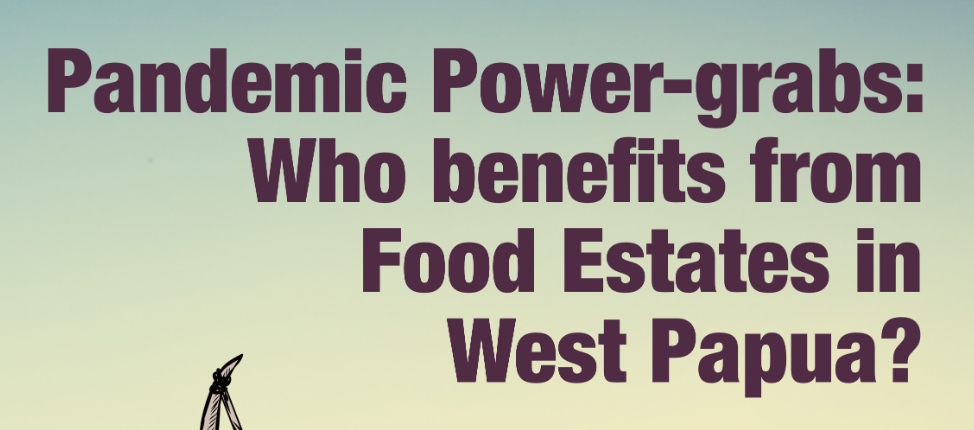 Read more about the article AwasMIFEE! und TAPOL veröffentlichen Bericht über geplante Food Estate Projekte in Westpapua