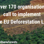 Gemeinsamer NGO-Brief: Präsidentin von der Leyen, halten Sie das EU-Abholzungsgesetz aufrecht!