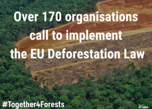 Read more about the article Gemeinsamer NGO-Brief: Präsidentin von der Leyen, halten Sie das EU-Abholzungsgesetz aufrecht!