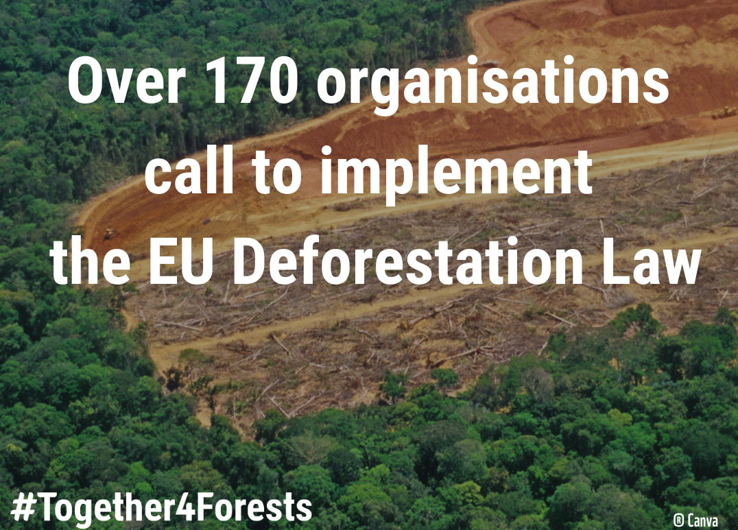 You are currently viewing Gemeinsamer NGO-Brief: Präsidentin von der Leyen, halten Sie das EU-Abholzungsgesetz aufrecht!