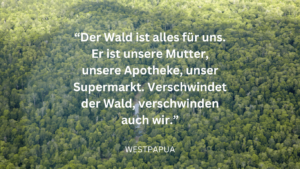 Die Bedeutung des Waldes in Westpapua